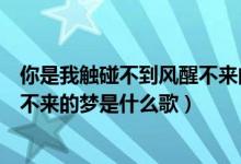 你是我觸碰不到風(fēng)醒不來的夢文案（你是我觸碰不到的風(fēng)醒不來的夢是什么歌）