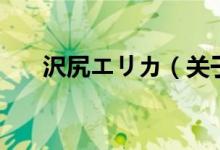 沢尻エリカ（關(guān)于沢尻エリカ的介紹）