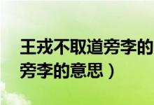 王戎不取道旁李的10分鐘試講（王戎不取道旁李的意思）