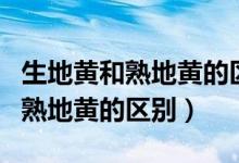 生地黃和熟地黃的區(qū)別功效與作用（生地黃和熟地黃的區(qū)別）