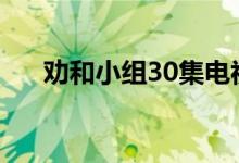 勸和小組30集電視連續(xù)?。▌褡纸M詞）