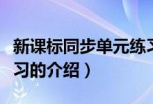 新課標同步單元練習（關于新課標同步單元練習的介紹）