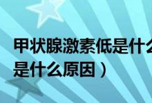 甲狀腺激素低是什么引起的（甲狀腺激素偏低是什么原因）