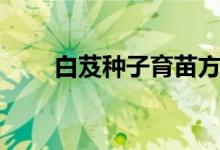 白芨種子育苗方法（白芨種苗種植）