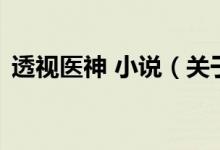 透視醫(yī)神 小說（關(guān)于透視醫(yī)神 小說的介紹）