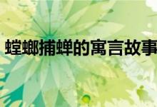 螳螂捕蟬的寓言故事視頻（螳螂捕蟬的意思）