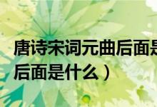 唐詩(shī)宋詞元曲后面是什么（唐詩(shī)宋詞元曲明清后面是什么）