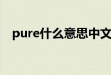 pure什么意思中文名字（pure什么意思）