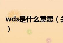 wds是什么意思（關(guān)于wds是什么意思的介紹）