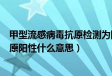 甲型流感病毒抗原檢測為陽性是什么意思（甲型流感病毒抗原陽性什么意思）