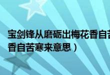 寶劍鋒從磨礪出梅花香自苦寒來哲理（寶劍鋒從磨礪出,梅花香自苦寒來意思）