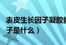 表皮生長因子凝膠能淡化疤痕嗎（表皮生長因子是什么）