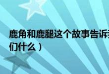 鹿角和鹿腿這個故事告訴我們（鹿角和鹿腿這個故事告訴我們什么）