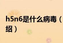 h5n6是什么病毒（關(guān)于h5n6是什么病毒的介紹）