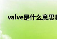 valve是什么意思?。╲alve是什么意思）