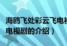 海鷗飛處彩云飛電視劇（關(guān)于海鷗飛處彩云飛電視劇的介紹）