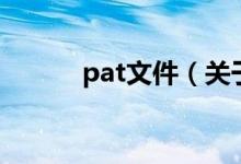 pat文件（關(guān)于pat文件的介紹）