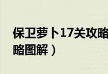 保衛(wèi)蘿卜17關(guān)攻略迅玩版（保衛(wèi)蘿卜17關(guān)攻略圖解）