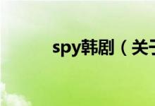 spy韓?。P(guān)于spy韓劇的介紹）