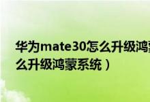 華為mate30怎么升級(jí)鴻蒙系統(tǒng)沒有指紋（華為mate30怎么升級(jí)鴻蒙系統(tǒng)）