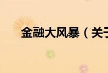 金融大風(fēng)暴（關(guān)于金融大風(fēng)暴的介紹）