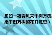 忽如一夜春風(fēng)來千樹萬樹梨花開的修辭手法（忽如一夜春風(fēng)來千樹萬樹梨花開意思）