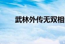 武林外傳無雙相親（武林外傳 無雙）