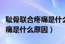 恥骨聯(lián)合疼痛是什么原因造成的（恥骨聯(lián)合疼痛是什么原因）