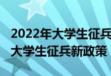 2022年大學(xué)生征兵政策解讀整理版（2022年大學(xué)生征兵新政策）