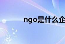 ngo是什么企業(yè)（ngo是什么）