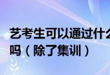 藝考生可以通過(guò)什么其他的方式提升一下自己?jiǎn)幔ǔ思?xùn)）