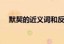 默契的近義詞和反義詞（默契的近義詞）