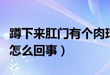 蹲下來肛門有個(gè)肉球怎么回事（肛門有個(gè)肉球怎么回事）