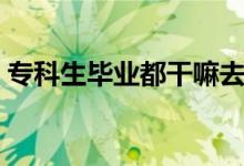 ?？粕厴I(yè)都干嘛去了（最好的出路是什么）