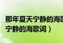 那年夏天寧靜的海歌詞想表達什么（那年夏天寧靜的海歌詞）