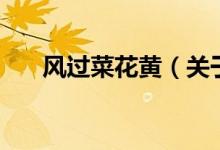 風(fēng)過(guò)菜花黃（關(guān)于風(fēng)過(guò)菜花黃的介紹）