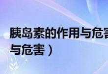 胰島素的作用與危害性是多少（胰島素的作用與危害）