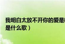 我明白太放不開你的愛是哪一首歌（我明白太放不開你的愛是什么歌）