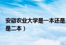 安徽農業(yè)大學是一本還是二本學校（安徽農業(yè)大學是一本還是二本）