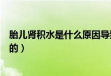 胎兒腎積水是什么原因?qū)е碌模ㄌ耗I積水是什么原因造成的）