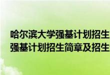 哈爾濱大學強基計劃招生簡章2021（哈爾濱工業(yè)大學2022強基計劃招生簡章及招生計劃）