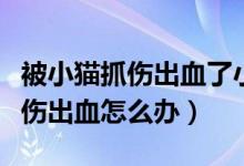 被小貓抓傷出血了小貓沒有狂犬病（被小貓抓傷出血怎么辦）