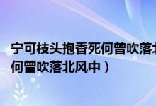 寧可枝頭抱香死何曾吹落北風(fēng)中什么意思（寧可枝頭抱香死 何曾吹落北風(fēng)中）