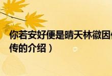 你若安好便是晴天林徽因傳（關(guān)于你若安好便是晴天林徽因傳的介紹）