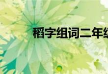 稻字組詞二年級上冊（稻字組詞）